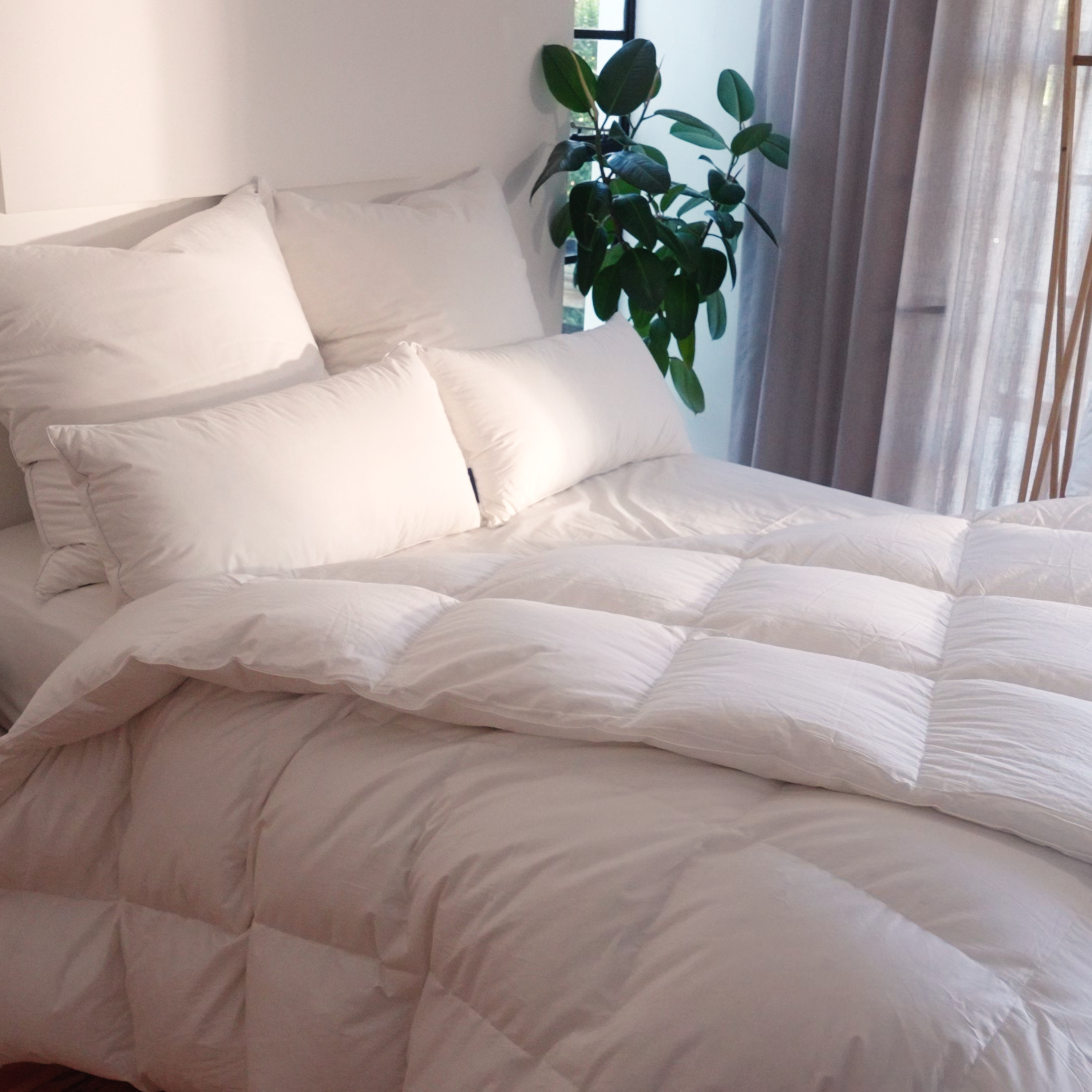 Daunendecke "Premium"