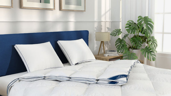 Kissen & Decken Bundles